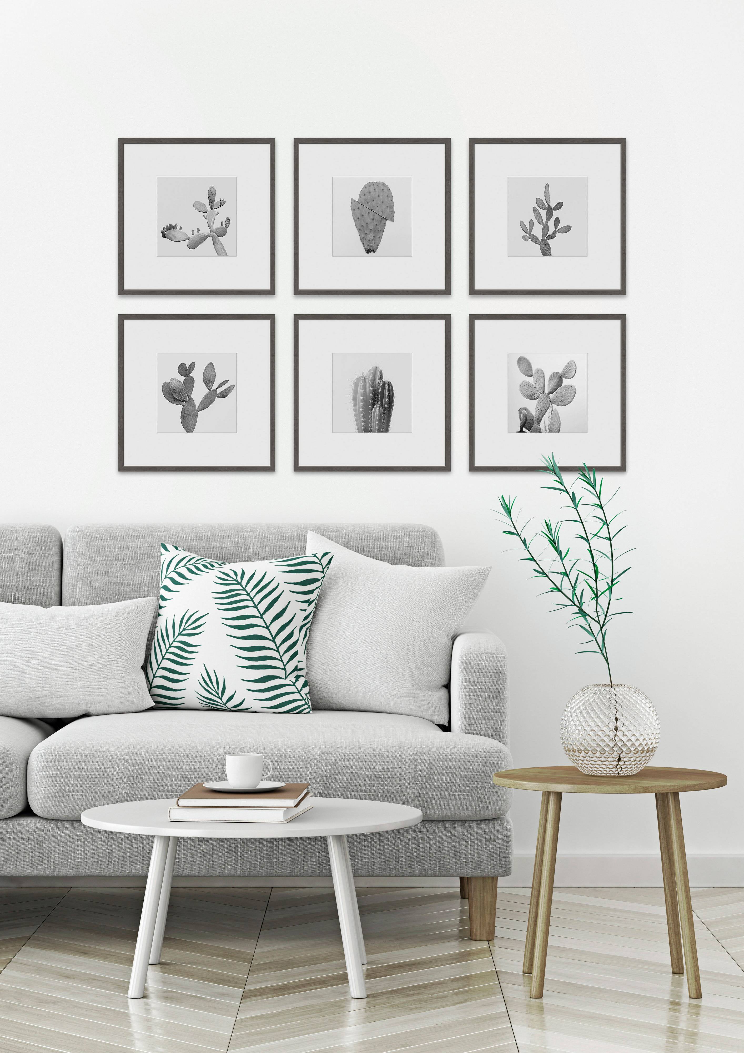 Cactus Variety Ii He x aptych, Art Prints, 54.00" x 1.50"