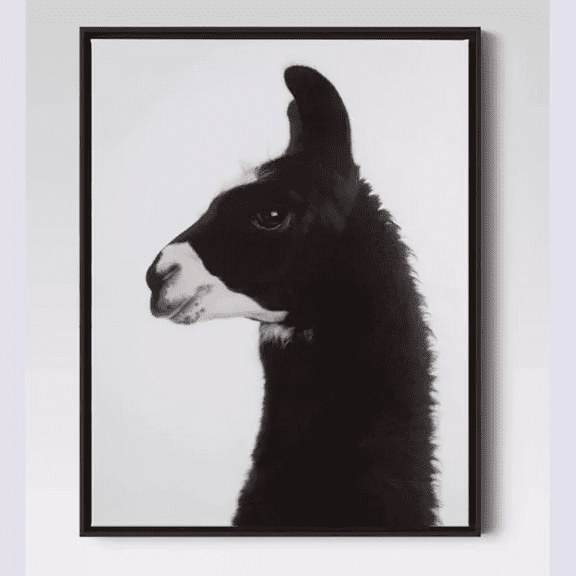 24" x 30" Llama Framed Printed Wall Canvas