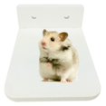 thumbnail image 1 of Small Animal Platform Funny Plastic Hamster Exercise Toy Hamster Play Platform, 1 of 10