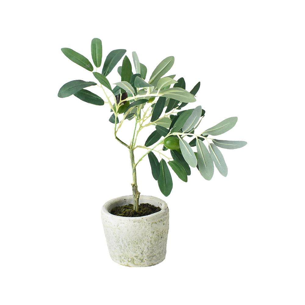 Artificial Olive Tree in Pot, 12Inch Artificial Olive Tree in Pot, 12Inch
