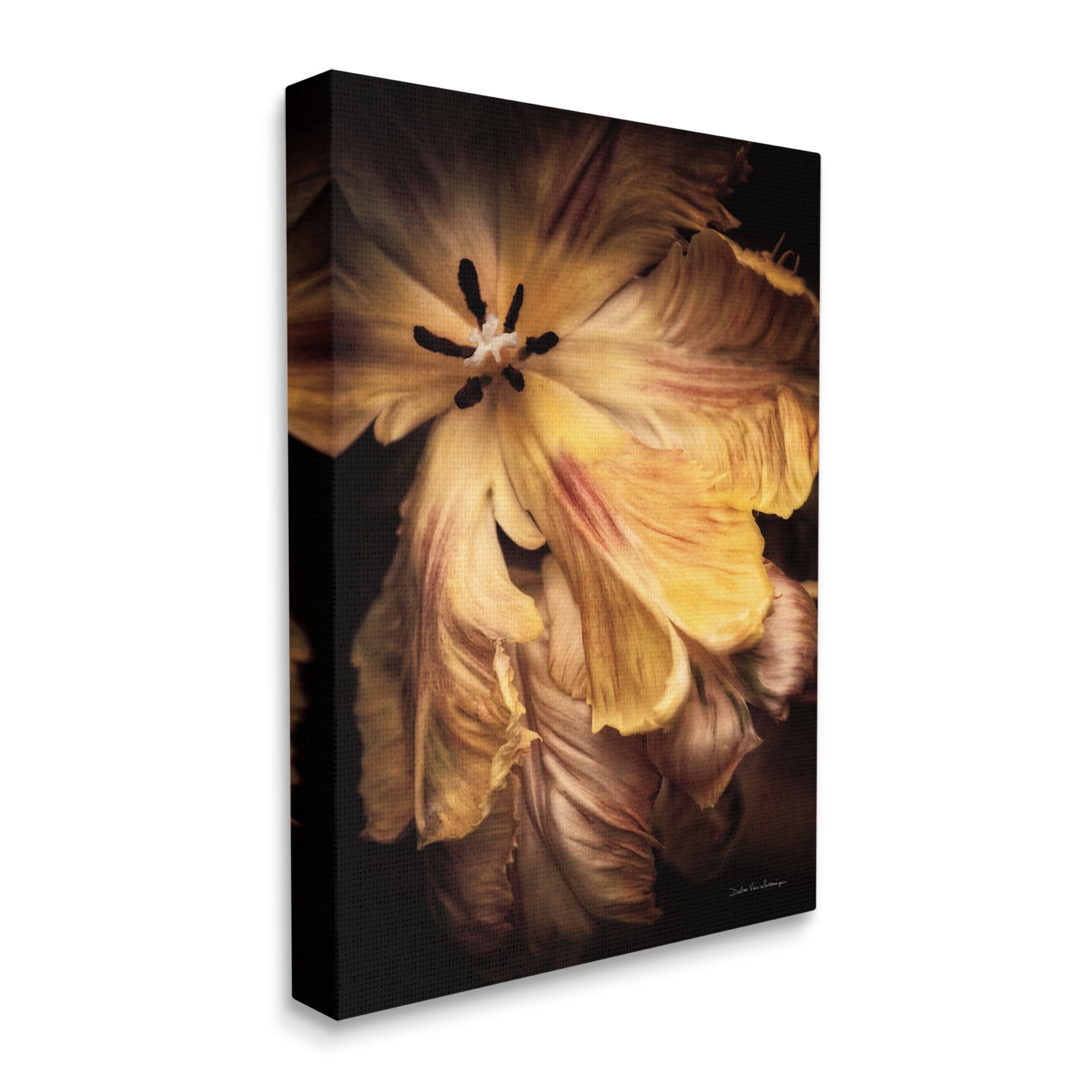 Stupell Industries Modern Hibiscus Photography Botanical & Floral Photography Gallery Wrapped Canvas Print Wall Art, 30 x 40