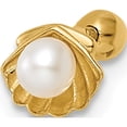 thumbnail image 1 of 14K Yellow Gold Scallop Shell With Freshwater Cultured Pearl Labret Stud (11.4 X 6.26) Made In Vietnam bd178, 1 of 5