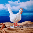 thumbnail image 5 of Chicken Egg Lamp,3D Chicken Table Lamp, Lifelike LED Egg Lamp, Resin Chicken Egg Night Light with USB (Chicken Egg Lamp), 5 of 5