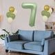 thumbnail image 4 of Juego de globos del primer cumpleaños - 0-9 números de papel de aluminio y 10 globos verdes con cinta para decoraciones de fiesta, 4 of 7
