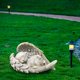 thumbnail image 5 of Estatua de ángel de perro o gato hecha a mano, escultura de resina para jardín interior, 5 of 8
