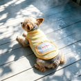 thumbnail image 4 of Cooling Dog Vest with Ice Pack Pocket, Breathable Mesh Summer Jacket with Matching Leash, Adjustable Pet Cooling Apparel for Hot Weather Walks(Light Pink,XS), 4 of 5
