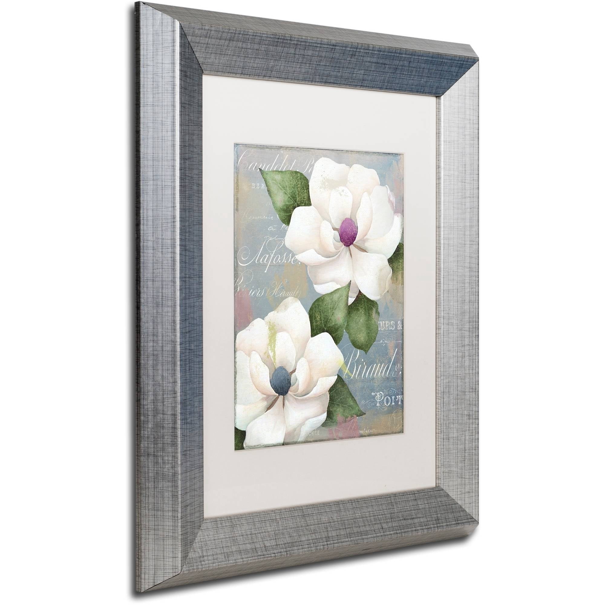 Trademark Fine Art "Southern Charms" Canvas Art by Color Bakery White Matte, Silver Frame