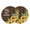 Brown, variant on Sunflower Round 13 Inch Placemats Set of 2, Summer Botanical Yellow Floral Brown Wooden HeatResistant Non Slip Place Mats for Dining Table, Wipeable Braided Kitchen Table Mats for Housewarming