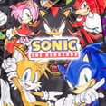 thumbnail image 6 of SEGA Sonic the Hedgehog Big Boys' Athletic Fleece Hooded Sweatshirt Group Black, 6 of 6