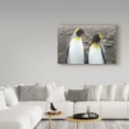 thumbnail image 3 of Trademark Fine Art 'Courting' Canvas Art by Wild Apple Portfolio, 3 of 3