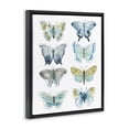 thumbnail image 2 of Stupell Industries Modern Varied Butterflies & Moths Insects Black Floating Frame Canvas Art, 17 x 21, by June Erica Vess, 2 of 7