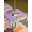 Purple, variant on Pink Easter Outdoor Tablecloth - 60x60 Inch Square Dining Table Cover, Easter Bunny Eggs Spring Cartoon Farmhouse Wood Grain Waterproof Outdoor Table Cloth with Umbrella Hole & Zipper for Patio