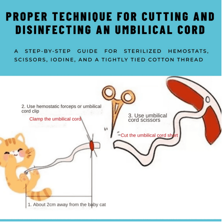 Dog birthing kit shops