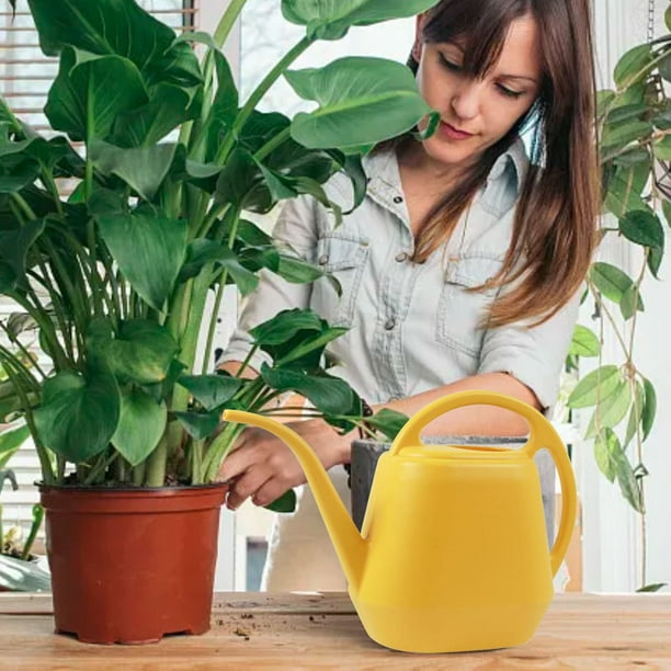 Regadera de 1 galón con pico largo, regadera con diseño de flores, regadera de interior con asa, regadera de plástico para plantas de jardín.