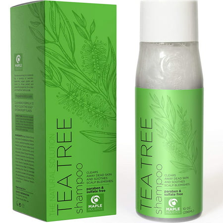 Natural Tea Tree Oil Shampoo for Dandruff and Itchy Scalp - Sulfate Free Deep Cleansing Hair Care for Men and Women - Essential Oils Rosemary Pure Lavender - Sensitive and Color Treated Hair - 10 (Best Hair Color For Sensitive Scalp)