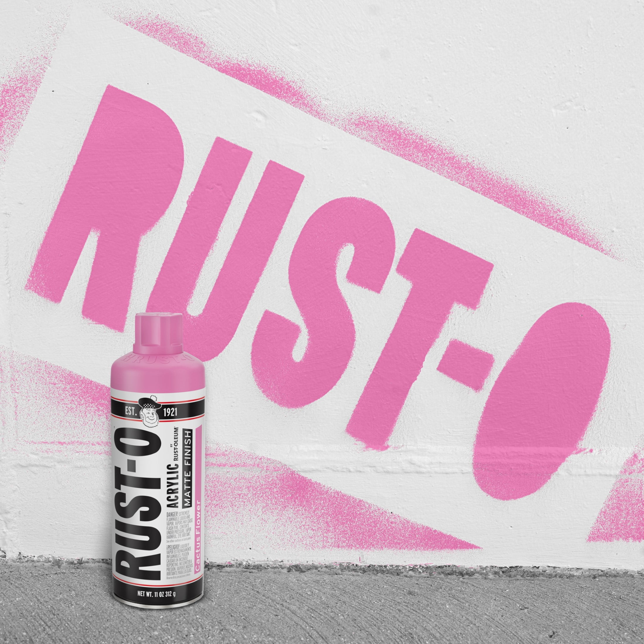 (2 pack) Cactus Flower, Rust-Oleum Rust-O Acrylic Matte Spray Paint-392215, 11 oz