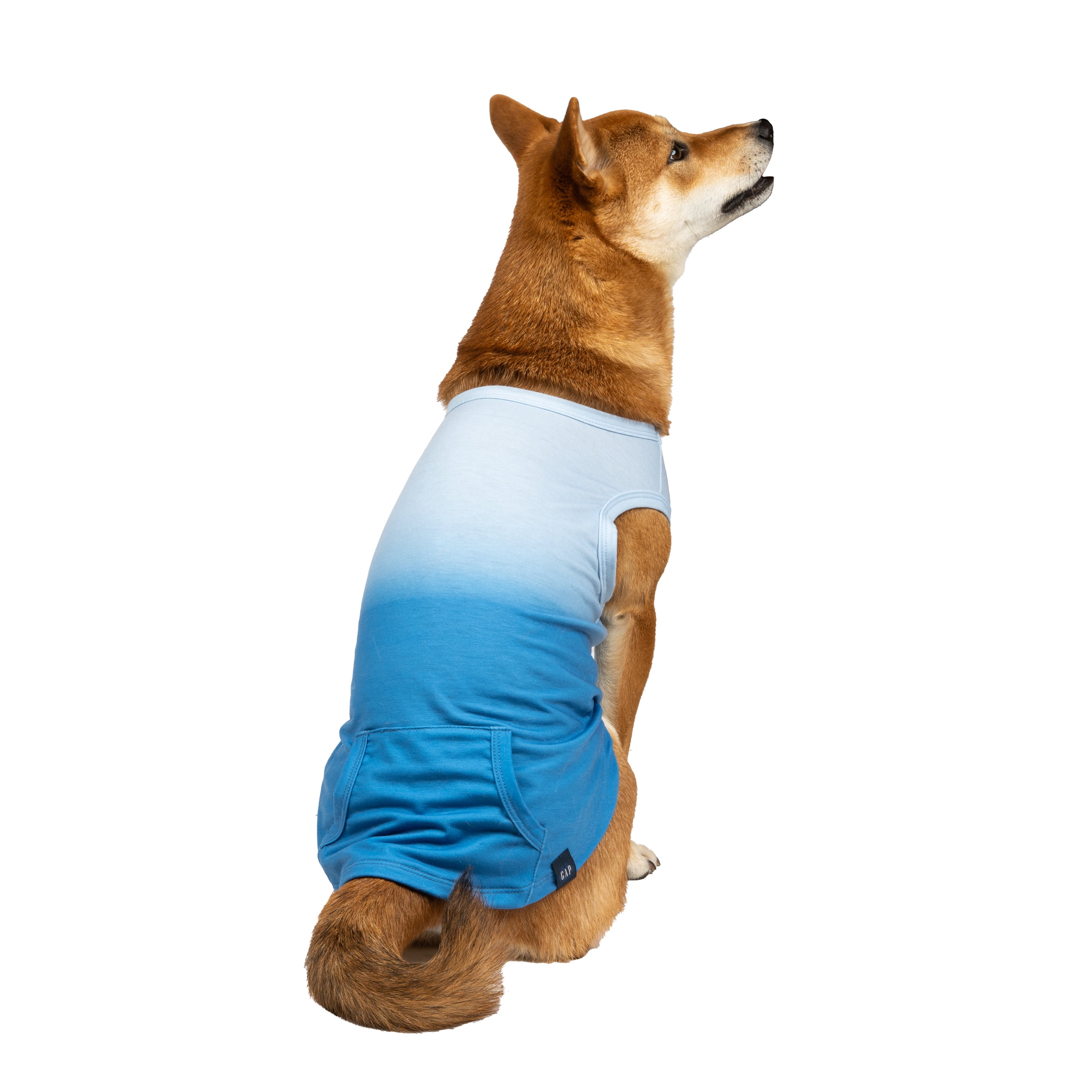 Gap Pet, Dog Clothes, Gradient Pocket Gap Pet TShirt, Blue, L