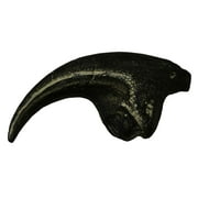 Allosaurus Dinosaur Life Size Claw Fossil Replica - 7"