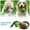 multicolor, variant on Chew Pet Toy Cute Dog Toys Interactive Pet Dog Ball Toy Toy with Small Bell Dogs