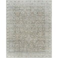 thumbnail image 2 of Mark&Day Washable Rugs, 9x12 Dian Traditional Khaki/Light Silver Area Rug, Grey Green Blue Carpet for Living Room, Bedroom or Kitchen (8'10" x 12', Machine Washable), 2 of 8