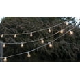 thumbnail image 2 of Commercial String Lights Commercial Globe String Lights 50ft E12 White Wire G50 Bulbs Clear, 2 of 3