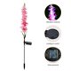 thumbnail image 2 of 2 lámparas solares para césped con flores de jacinto IP65 600 mAh para decoración de jardín (rojo sandía), 2 of 6