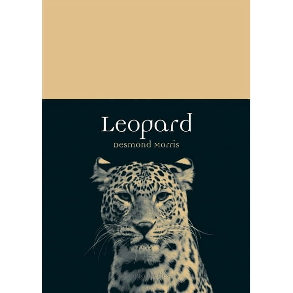 Animal: Leopard (Paperback)
