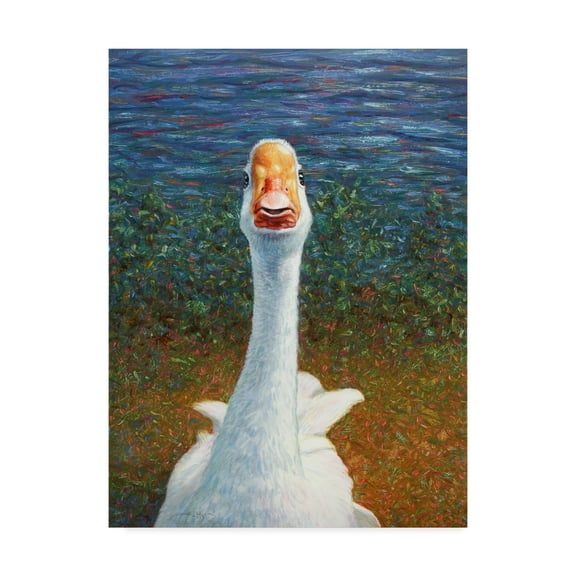 Trademark Fine Art 'Goose' Canvas Art by James W. Johnson