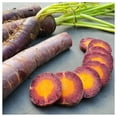 thumbnail image 2 of Everwilde Farms Cosmic Purple Carrot Seeds, Open Pollinated Heirloom, 2 of 3