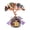 Colorful crystal, variant on AOOOWER Crystal Tree with Bonsais Quartzs Crystal Money Tree Bonsais Feng Shuis Decors Housewarmings Present Home Decors