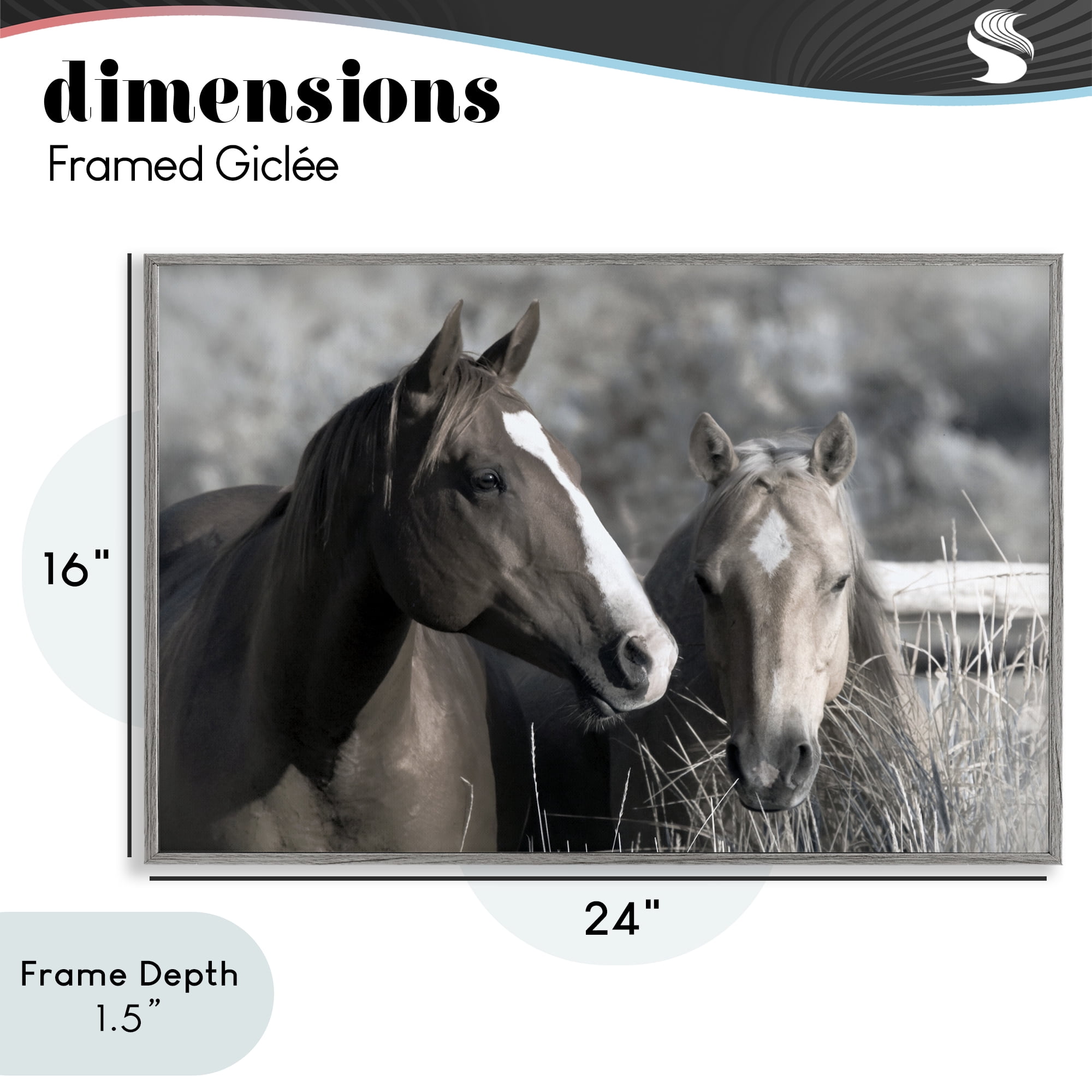 Stupell Industries Content Horses In Pasture Gray Framed Giclee Art, design by Danita Delimont