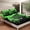 Green, variant on YST Cute Gymnastics Sheet Set Girls Princess Bed Sheets Set, Pretty Gymnast Girl Bedding King Size Black and Green Sheets, Sequins Printed Bow Top Sheet Bedroom Decor