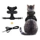thumbnail image 1 of Arnés para gatos con correa para caminar, chaleco ajustable a prueba de fugas, arneses para gatos, suministro para mascotas, 1 of 9