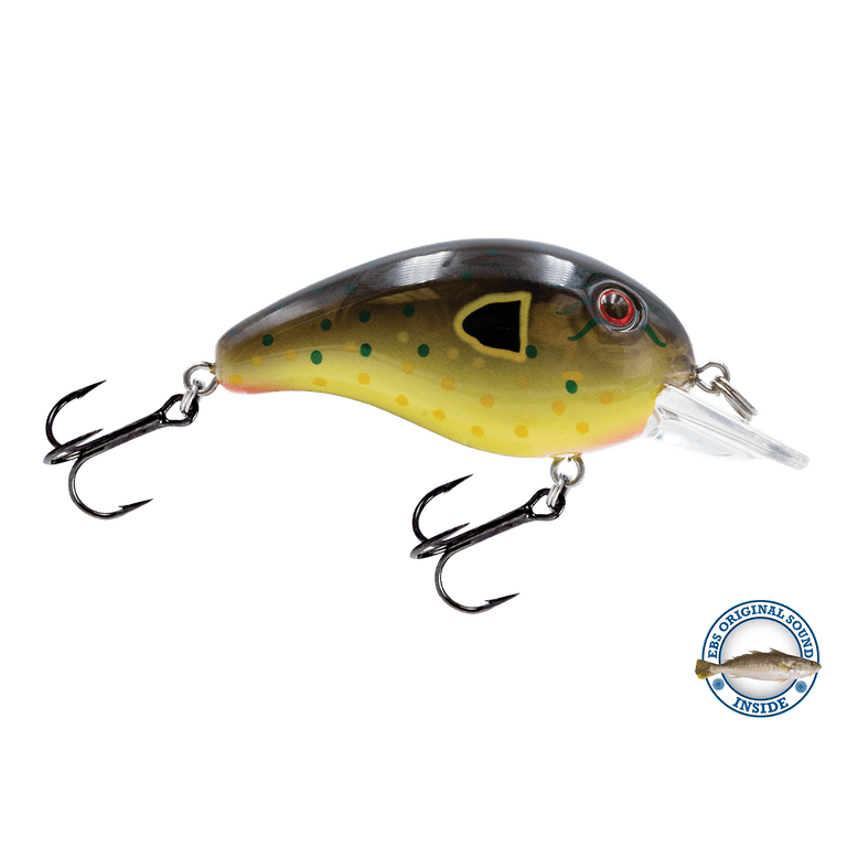 clear plastic fishing hooks Hookup Baits Jigs - 1/4 oz. - 3 Pack