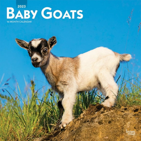 Baby Goats 2023 Square (Other)