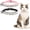 Pink & Black, variant on Miaocao 2 Pack Diamond Cat Collar with Bells and Safety Belt, Adjustable Soft Velvet Kitten Collar with Bling Heart Jewelry, Cute Purple & Pink Cat Collars for Girls & Boys(Neck Girth 8"-10")
