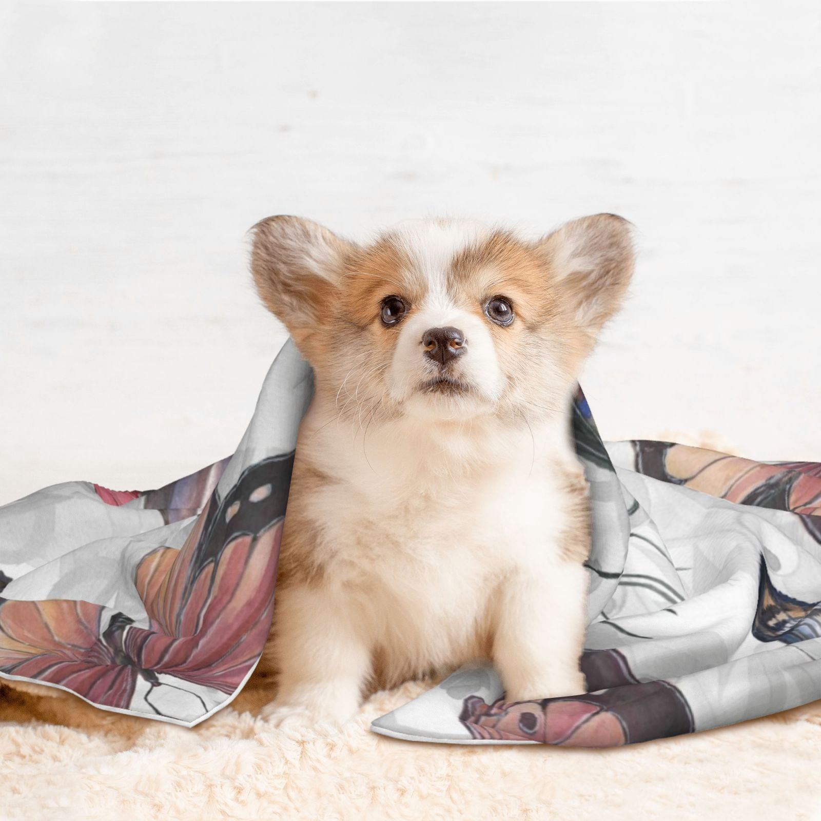Naloa Vintage Butterflies Dog Blanket, 3 Sizes Cat Blanket for Indoor Cats Large Medium Small Dog Gifts-Medium