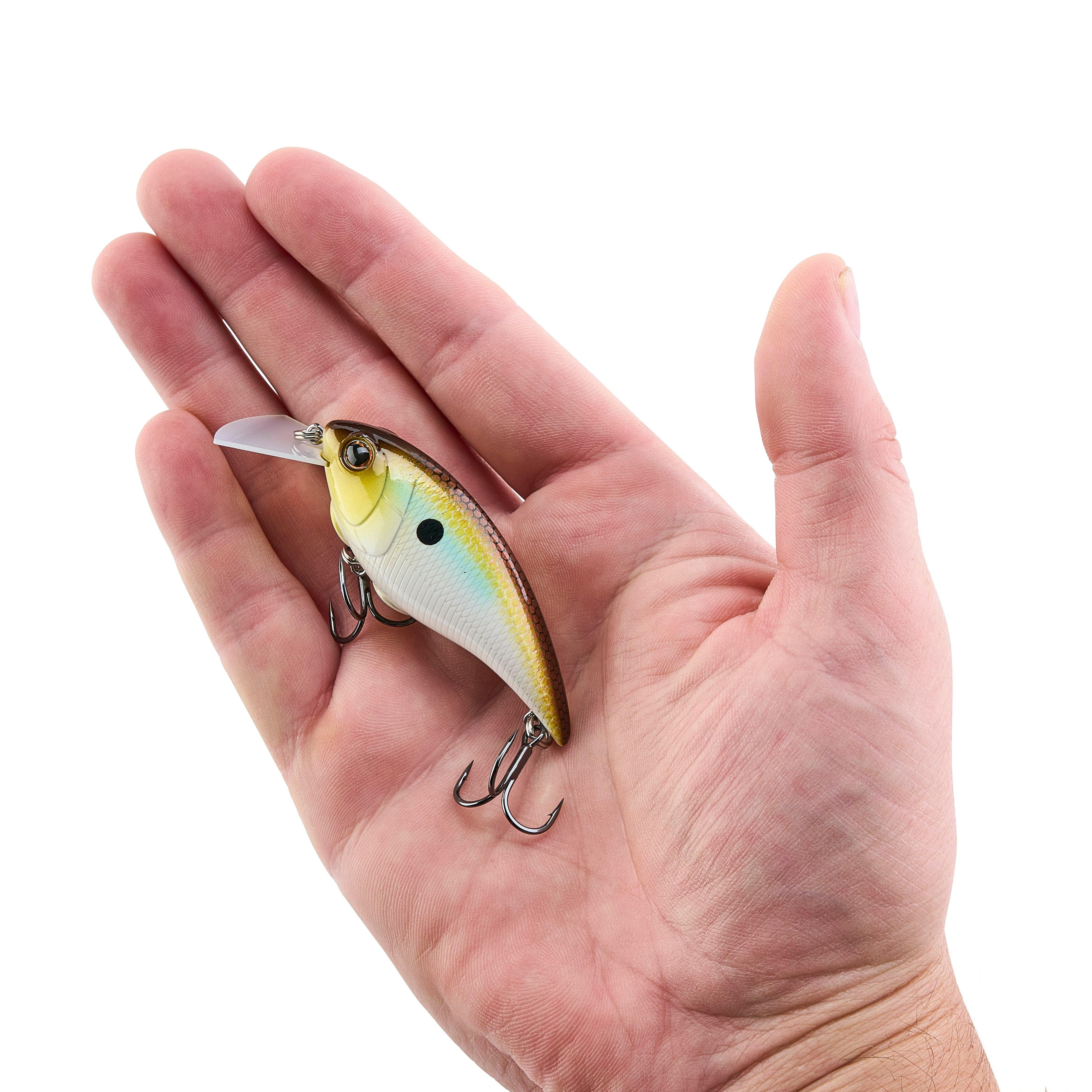 Berkley Shallow Money Badger Fishing Crankbait, 2.6 in, Hybrid Baitfish-Crayfish