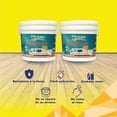 thumbnail image 3 of PINTEX Kit Pinta-me 2 Galones Pintura Vinil-Acrílica 3.8 L c/u | Incluye Brocha, Rodillo, Felpas, Masking Tape y Plastiprotector | Acabado Mate | Interiores y Exteriores | Amarillo Mango, 3 of 5
