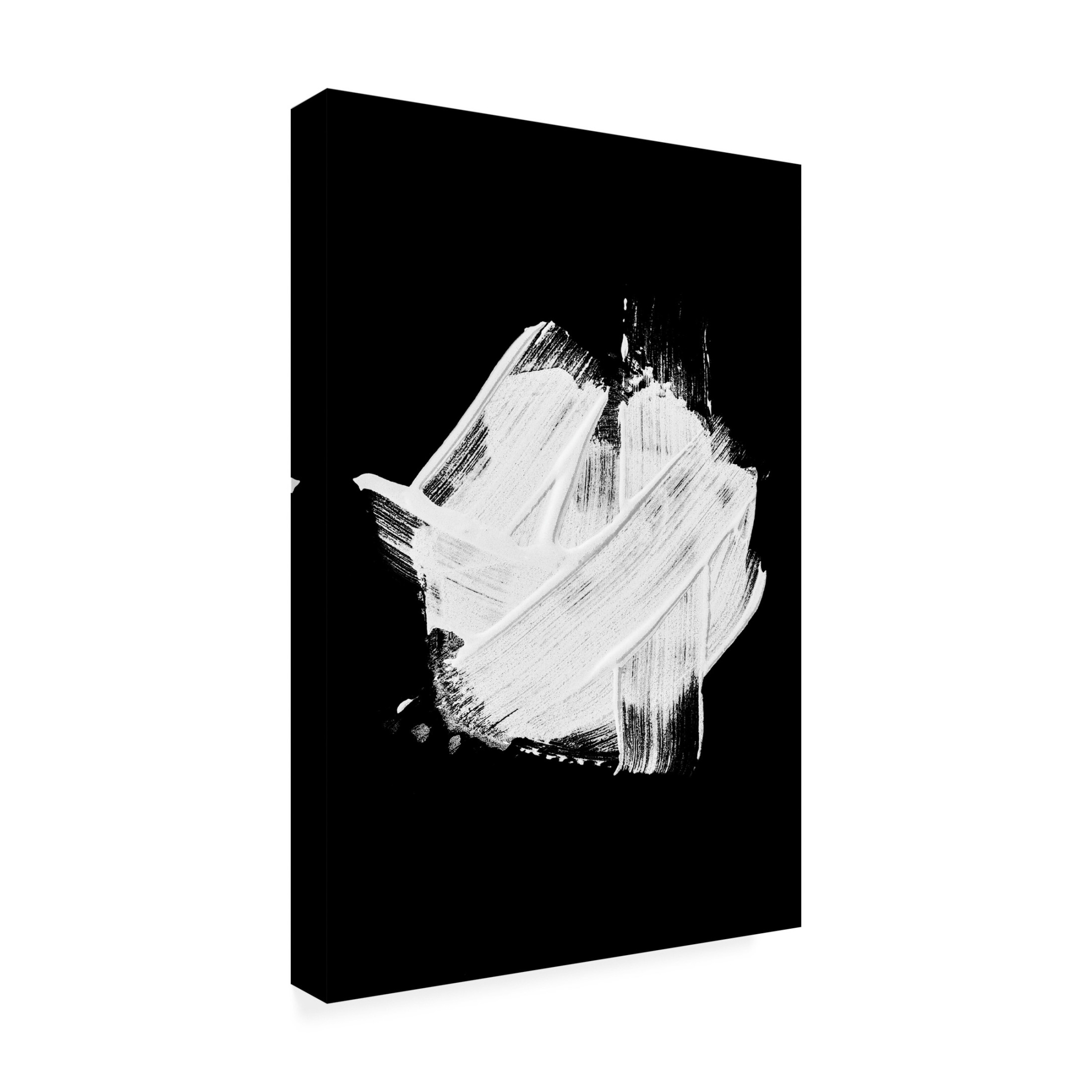 Trademark Fine Art Shot by Clint Minimalism 02 Canvas Wall Art