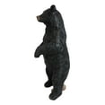 thumbnail image 5 of Western Rustic Forest Standing Black Bear Statue 12"H Cabin Lodge Bears Figurine, 5 of 6
