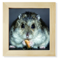 thumbnail image 1 of Hamster Animal Rat Pet Cute Eat Square Picture Frame Wall Tabletop Display, 1 of 3