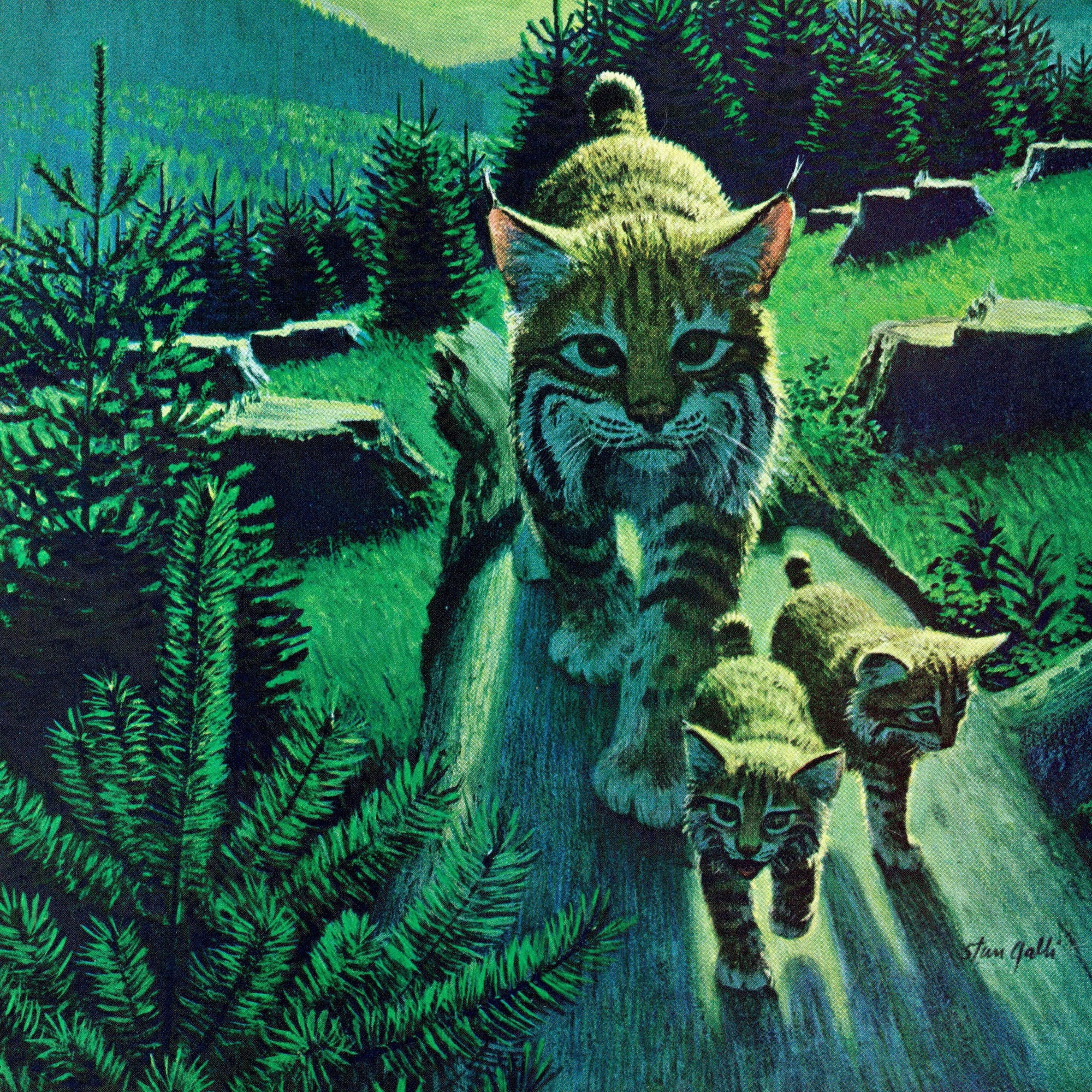 "Bobcat Family" Painting Print on Wrapped Canvas