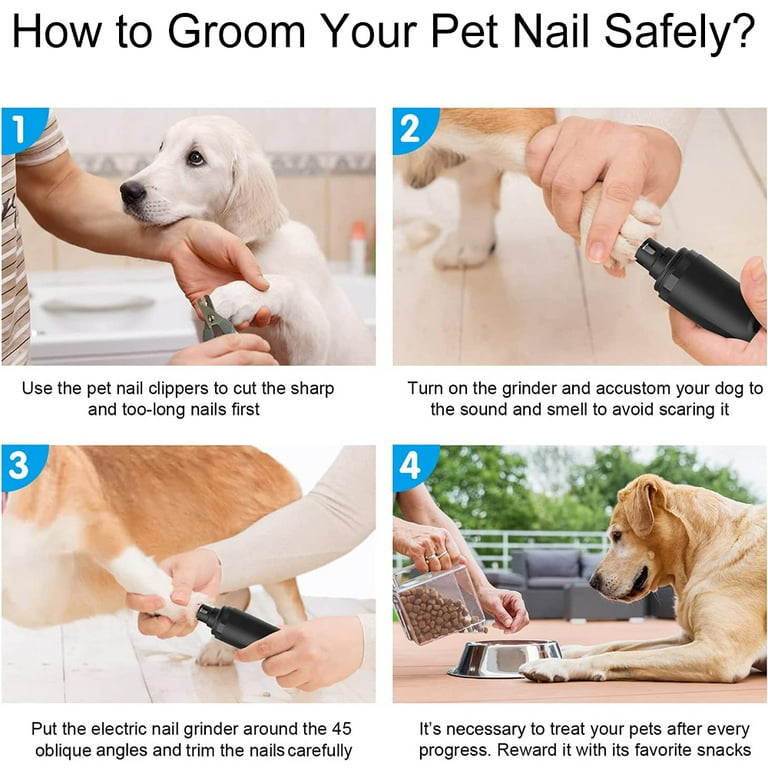 Dog nail grinding near cheap me