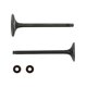 thumbnail image 1 of VALVULA ADMISION/ESCAPE SET HONDA GL 150 CARGO (14-19), XR 150L (16-19), 1 of 3