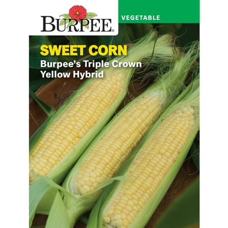 Burpee Burpee's Triple Crown Yellow Hybrid Sweet Corn Vegetable Seed, 1-Pack