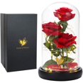 thumbnail image 1 of Regalo floral Dream of Flowers La Bella y la Bestia, rosa con LED, 1 of 7