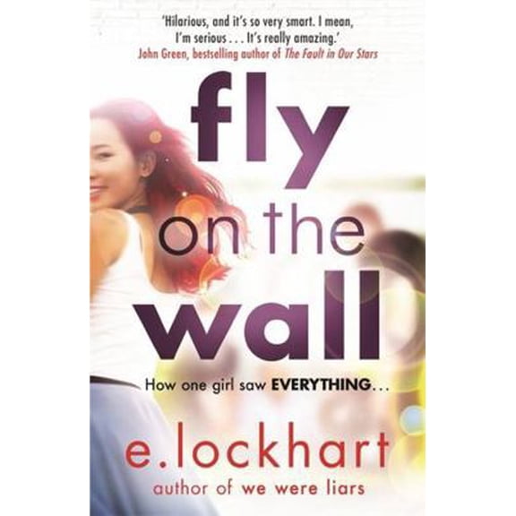 Pre-Owned Fly on the Wall: From the author of the unforgettable bestseller, We Were Liars (Paperback) 1471406040 9781471406041
