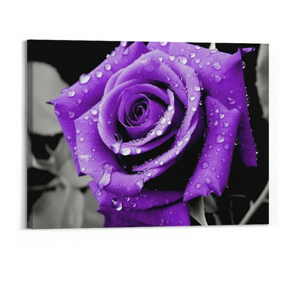 Shiartex Black and White with A Purple Rose Poster Canvas Wall Art Living Room Bedroom Dining Room Decor Mural (20x16 Inch framed)