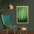 thumbnail image 2 of Cactus Wall Art with Frame, Photo of Cactus with Spikes Plant Flower Fruit from Close Zoom Shoot with Spikes Print, Printed Fabric Poster for Bathroom Living Room, 23" x 35", Green, by Ambesonne, 2 of 2